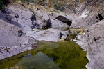 photo thumbnail #14