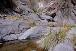 photo thumbnail #15