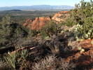 photo thumbnail #2