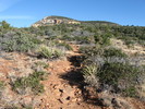 photo thumbnail #3