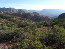 photo thumbnail #4