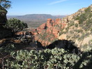 photo thumbnail #7