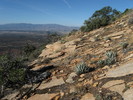 photo thumbnail #8