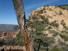 photo thumbnail #12