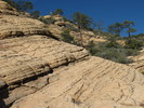 photo thumbnail #15