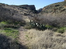 photo thumbnail #4