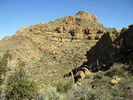 photo thumbnail #7