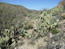 photo thumbnail #9