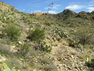 photo thumbnail #13