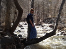 photo thumbnail #6