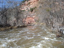 photo thumbnail #11