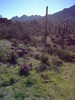 photo thumbnail #6