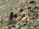 photo thumbnail #1