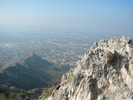 recent photo