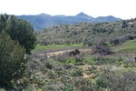 photo thumbnail #4