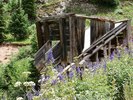 photo thumbnail #12