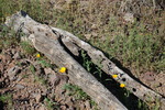photo thumbnail #7