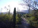 photo thumbnail #3