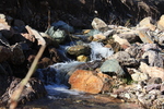 photo thumbnail #2