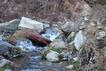 photo thumbnail #4