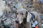 photo thumbnail #5