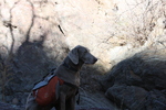 photo thumbnail #14