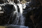 recent photo
