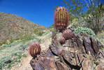 photo thumbnail #5