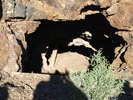 photo thumbnail #5