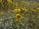 photo thumbnail #7