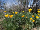 photo thumbnail #10