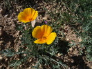 photo thumbnail #11