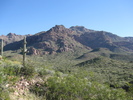 photo thumbnail #2