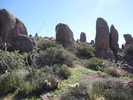 photo thumbnail #9