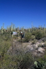 photo thumbnail #5