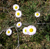 photo thumbnail #15