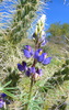 photo thumbnail #14