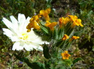 photo thumbnail #15