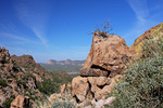 photo thumbnail #6