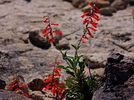 photo thumbnail #11