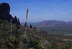 photo thumbnail #14