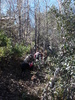 photo thumbnail #5