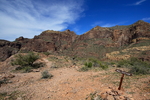 photo thumbnail #11