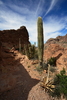 photo thumbnail #15