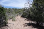 photo thumbnail #15