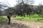 photo thumbnail #6