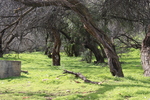 photo thumbnail #7