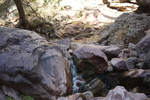 recent photo