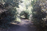 photo thumbnail #7