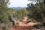 photo thumbnail #4